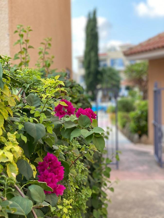 Paradise Gardens Paphos Exterior foto
