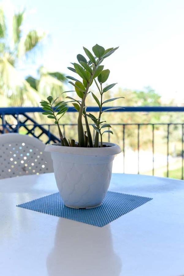 Paradise Gardens Paphos Exterior foto